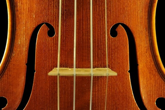 �G�h�K�[ ���X �N�����i �C�^���A �o�C�I����