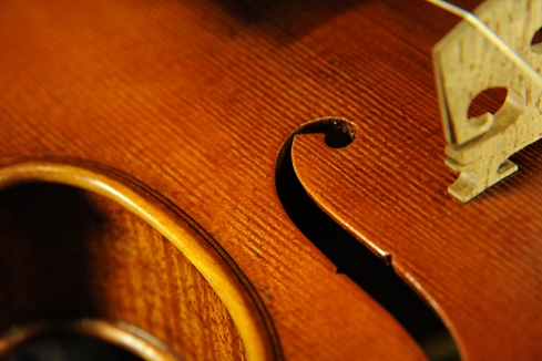 �G�h�K�[ ���X �N�����i �C�^���A �o�C�I����