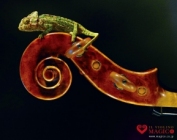 �o�C�I�������X�}�W�R �摜 �t���[�@�����R�ɂ��g����������