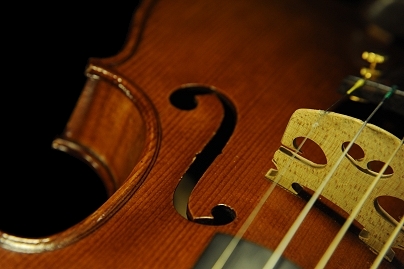 ���_�� �t�����` ���@�C�I���� ������ �t�����X