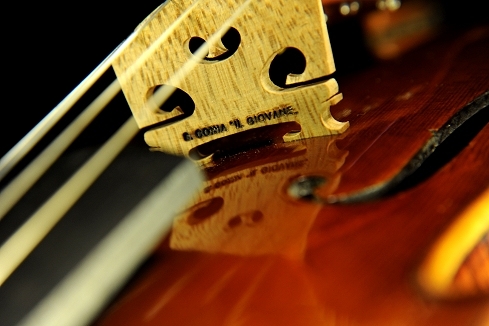 �R�j�A �o�C�I���� �N�����i �C�^���A