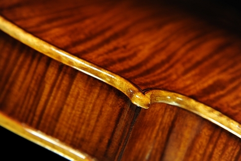 �R�j�A �o�C�I���� �N�����i �C�^���A