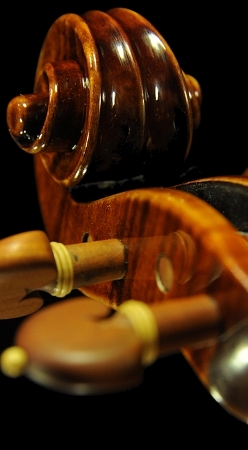 Stefano Conia Jr Violin ITALY