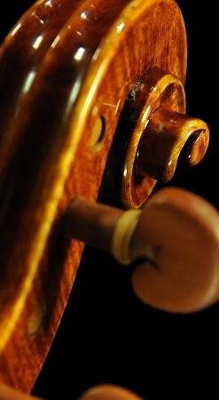 �R�j�A �o�C�I���� �N�����i �C�^���A