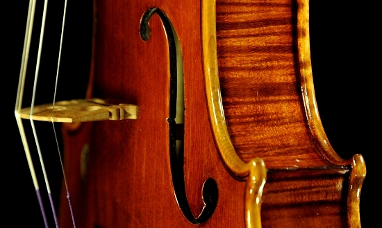 Stefano Conia Jr Violin ITALY