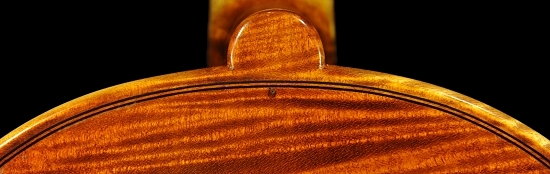 �R�j�A �o�C�I���� �N�����i �C�^���A