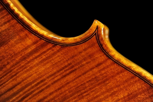 �R�j�A �o�C�I���� �N�����i �C�^���A