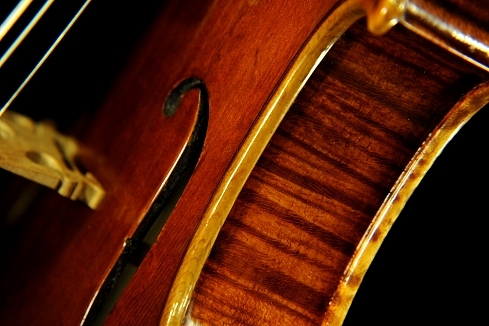 Stefano Conia Jr Violin ITALY