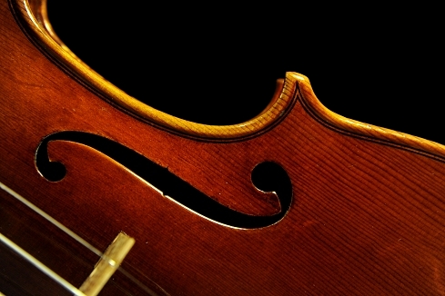 �R�j�A �o�C�I���� �N�����i �C�^���A