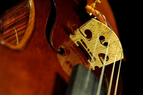 Stefano Conia Jr Violin ITALY