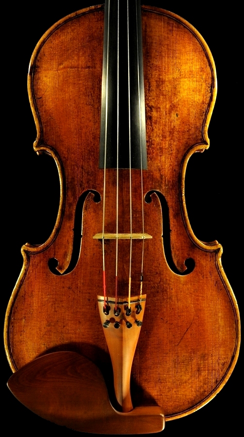 Strorioni Lorenzo Viola ITALY