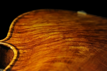 Strorioni Lorenzo Viola ITALY