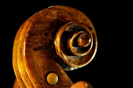 Strorioni Lorenzo Viola ITALY