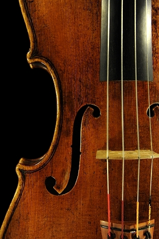 Strorioni Lorenzo Viola ITALY