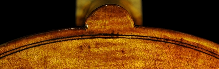 Strorioni Lorenzo Viola ITALY