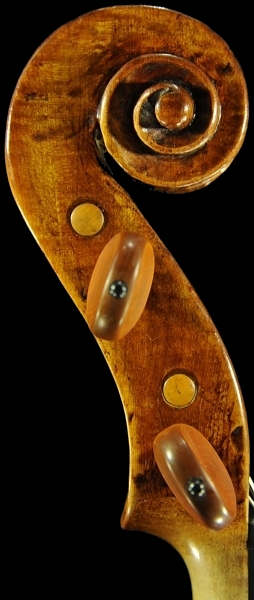 Strorioni Lorenzo Viola ITALY