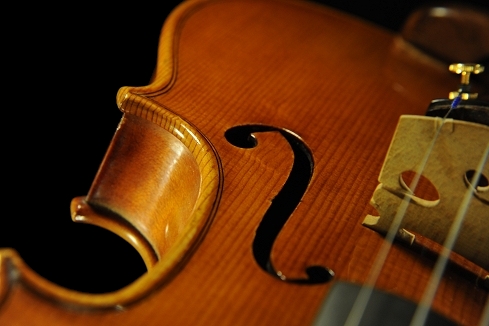 �W���o�b�^ �����b�V�[ �o�C�I���� �N�����i �C�^���A