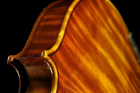 �W���o�b�^ �����b�V�[ �o�C�I���� �N�����i �C�^���A