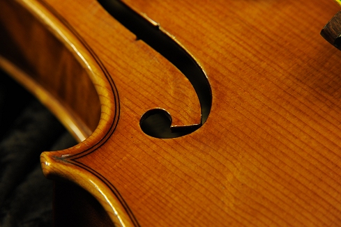 �W���o�b�^ �����b�V�[ �o�C�I���� �N�����i �C�^���A