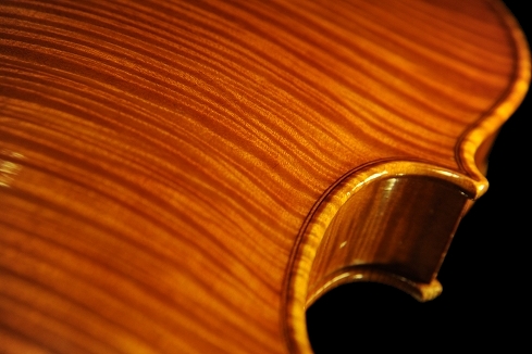 �W���o�b�^ �����b�V�[ �o�C�I���� �N�����i �C�^���A