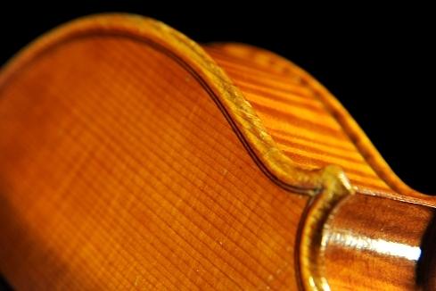 �W���o�b�^ �����b�V�[ �o�C�I���� �N�����i �C�^���A