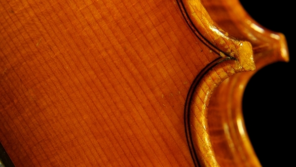 �W���o�b�^ �����b�V�[ �o�C�I���� �N�����i �C�^���A