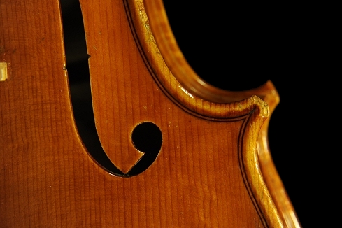 �W���o�b�^ �����b�V�[ �o�C�I���� �N�����i �C�^���A