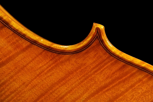 �W���o�b�^ �����b�V�[ �o�C�I���� �N�����i �C�^���A