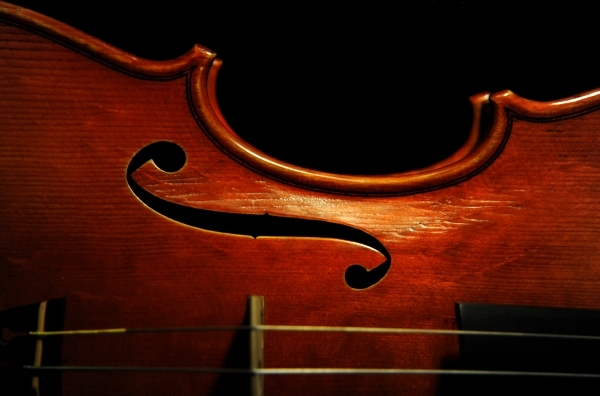 �x���S���c�B �o�C�I���� �N�����i �C�^���A