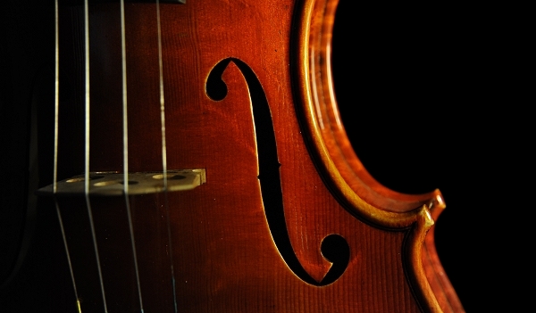 �x���S���c�B �o�C�I���� �N�����i �C�^���A �}�W�R