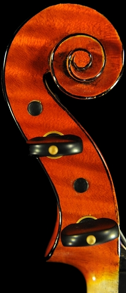 �x���S���c�B �o�C�I���� �N�����i �C�^���A