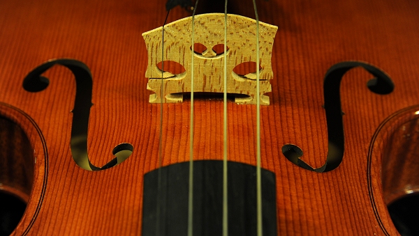 �n�� haja&chi �C�^���A ���B�I�� �N�����i