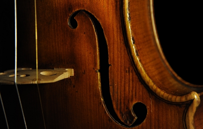 �\�t���b�e�B�[ �o�C�I���� �C�^���A