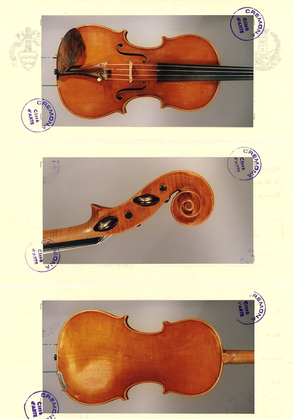 �\�t���b�e�B�[ �o�C�I���� �C�^���A