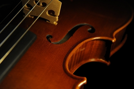 Violin Francia Italia バイオリン