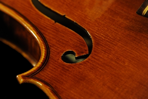 �X�e�t�@�m�R�j�A �C�^���A �N�����i�̋��� 