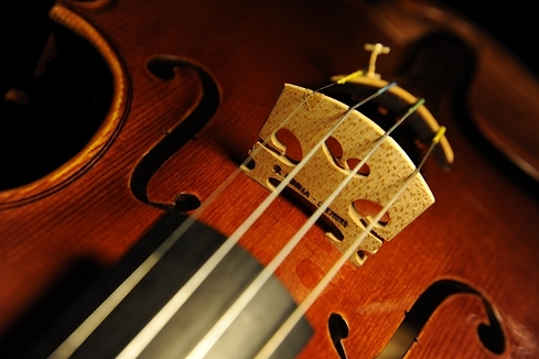 �X�e�t�@�m�R�j�A �C�^���A �N�����i�̋��� 