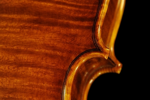 �X�e�t�@�m�R�j�A �C�^���A �N�����i�̋��� 