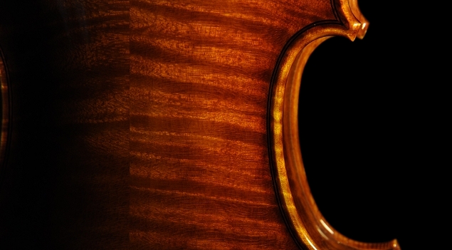 �X�e�t�@�m�R�j�A �C�^���A �N�����i�̋��� 