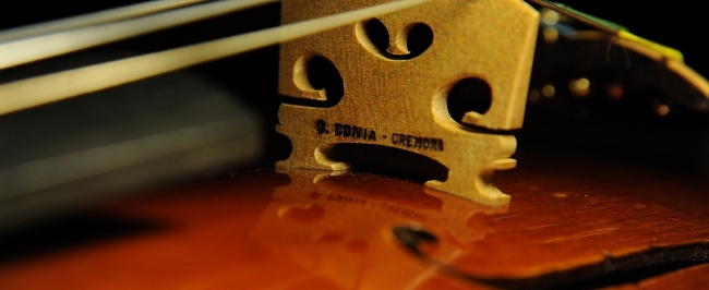 �o�C�I���� �R�j�A �N�����i �C�^���A