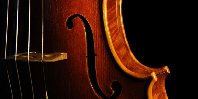 �X�e�t�@�m�R�j�A �C�^���A �N�����i�̋��� 