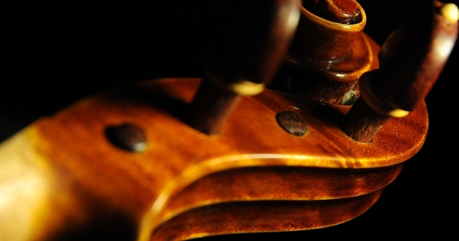 �o�C�I���� �R�j�A �N�����i �C�^���A