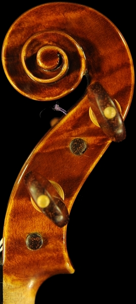 �X�e�t�@�m�R�j�A �C�^���A �N�����i�̋��� 