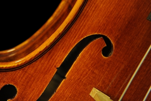 �o�C�I���� �R�j�A �N�����i �C�^���A