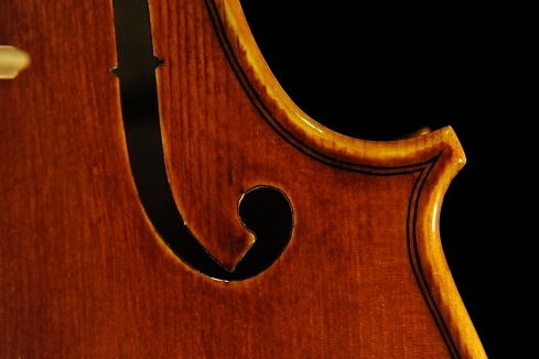 �X�e�t�@�m�R�j�A �C�^���A �N�����i�̋��� 