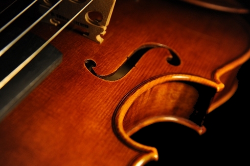 �X�e�t�@�m�R�j�A �C�^���A �N�����i�̋��� 