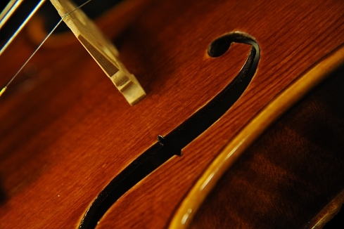 �o�C�I���� �R�j�A �N�����i �C�^���A