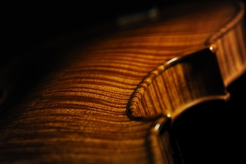 �J���� �r�W���b�L �o�C�I����