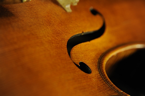 �o�C�I���� �r�W���b�L �C�^���A