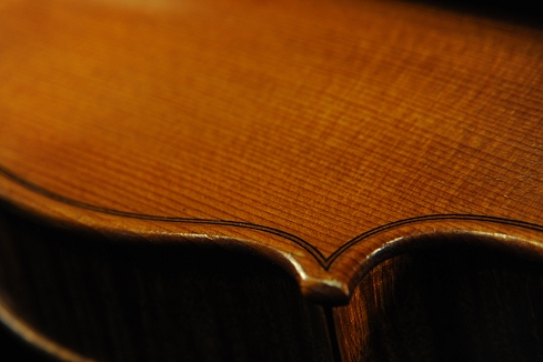 �o�C�I���� �r�W���b�L �C�^���A